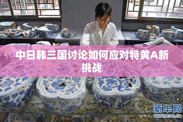 中日韩三国讨论如何应对特黄A新挑战