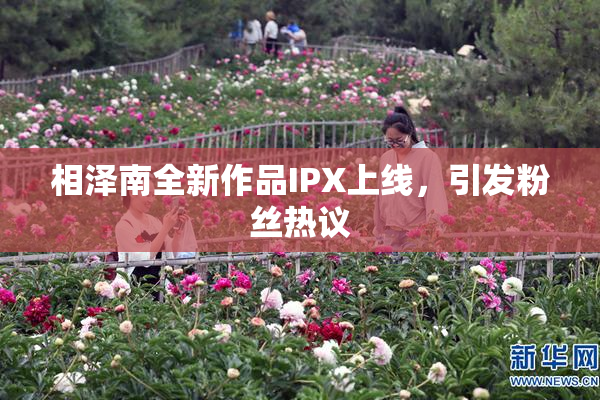 相泽南全新作品IPX上线，引发粉丝热议