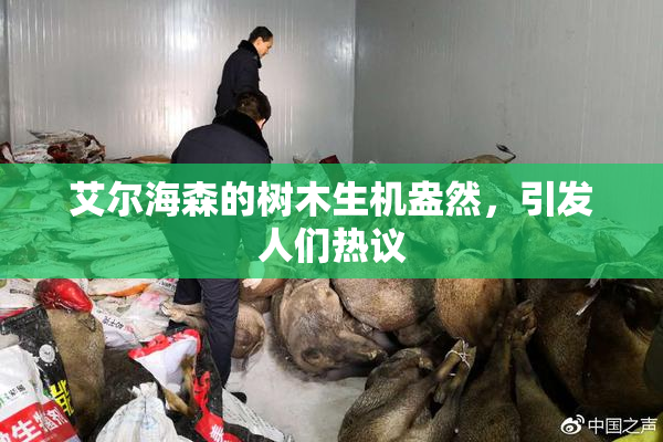 艾尔海森的树木生机盎然，引发人们热议