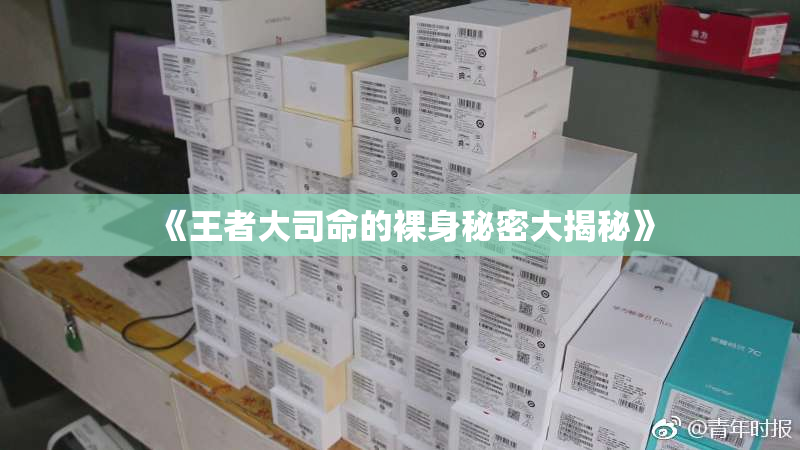 《王者大司命的裸身秘密大揭秘》