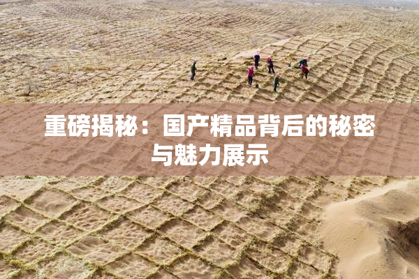重磅揭秘：国产精品背后的秘密与魅力展示