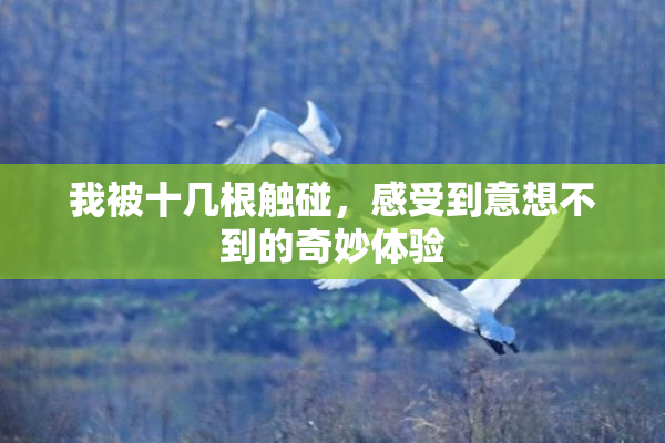 我被十几根触碰，感受到意想不到的奇妙体验