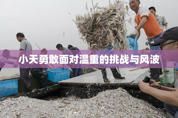 小天勇敢面对温重的挑战与风波