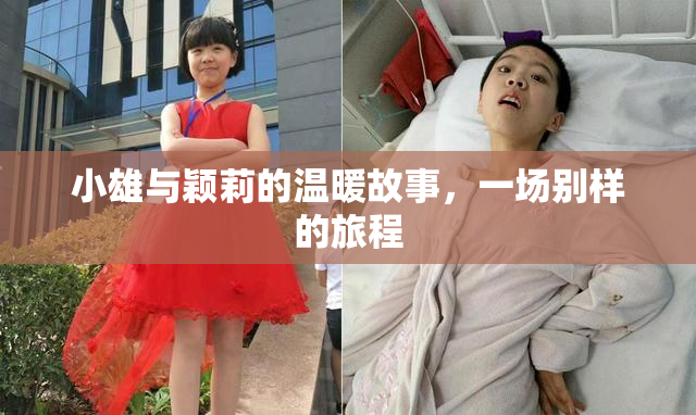 小雄与颖莉的温暖故事，一场别样的旅程