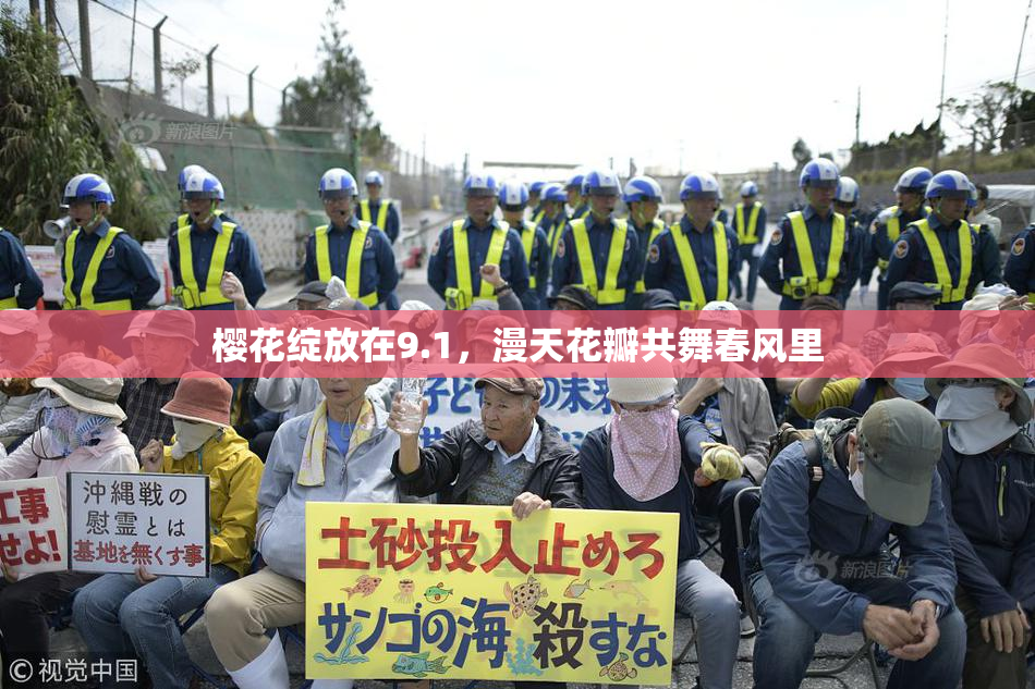 樱花绽放在9.1，漫天花瓣共舞春风里