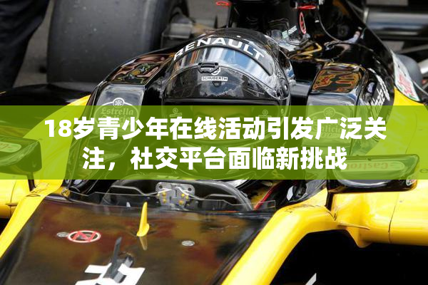 18岁青少年在线活动引发广泛关注，社交平台面临新挑战