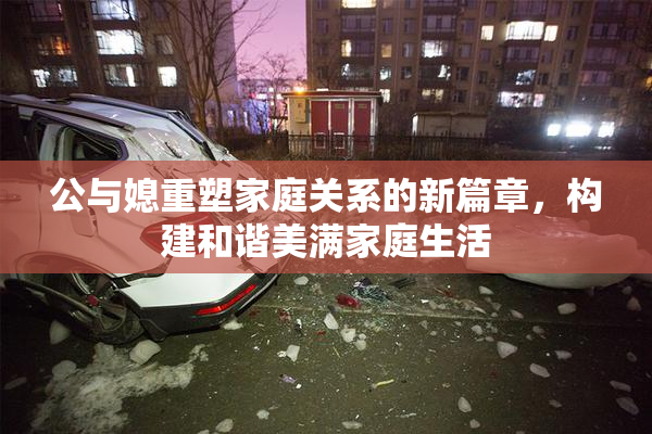 公与媳重塑家庭关系的新篇章，构建和谐美满家庭生活