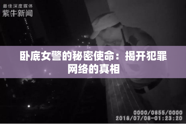 卧底女警的秘密使命：揭开犯罪网络的真相