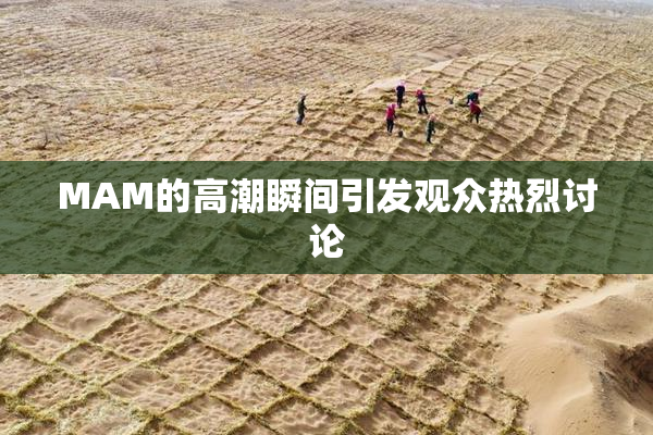 MAM的高潮瞬间引发观众热烈讨论