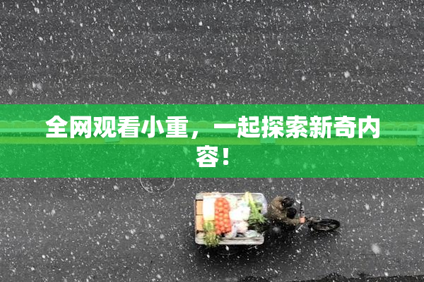 全网观看小重，一起探索新奇内容！