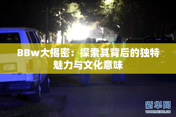 BBw大揭密：探索其背后的独特魅力与文化意味