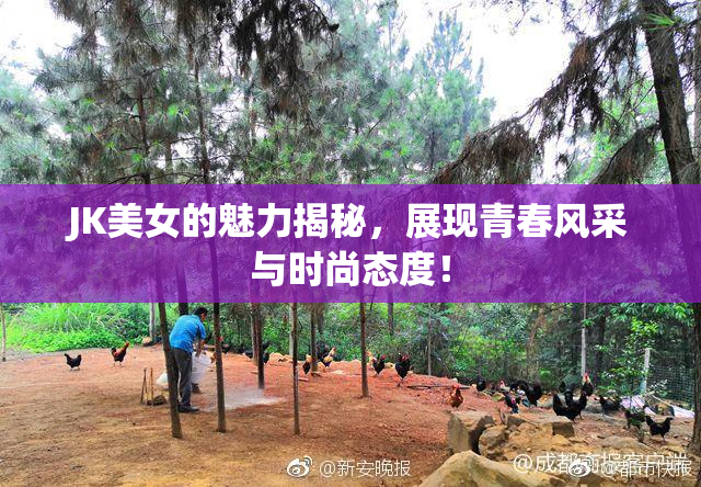 JK美女的魅力揭秘，展现青春风采与时尚态度！