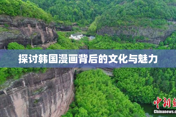 探讨韩国漫画背后的文化与魅力