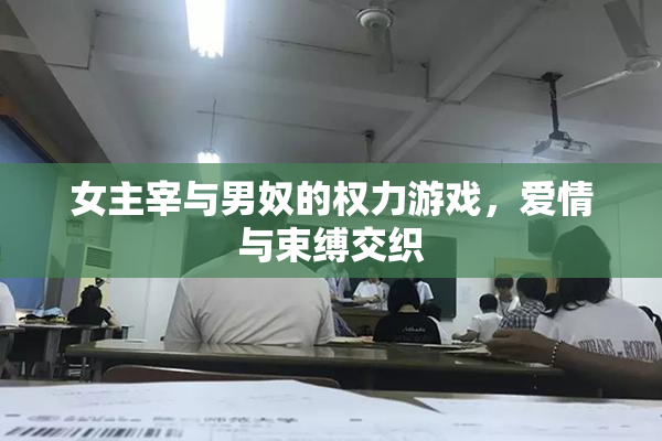 女主宰与男奴的权力游戏，爱情与束缚交织
