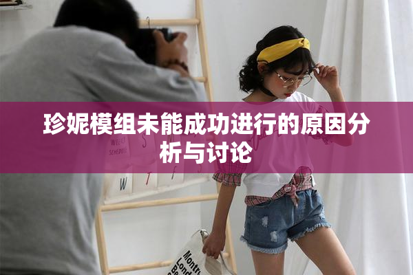 珍妮模组未能成功进行的原因分析与讨论