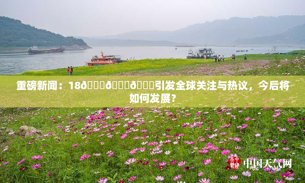 重磅新闻：18🔞🍆🍑引发全球关注与热议，今后将如何发展？