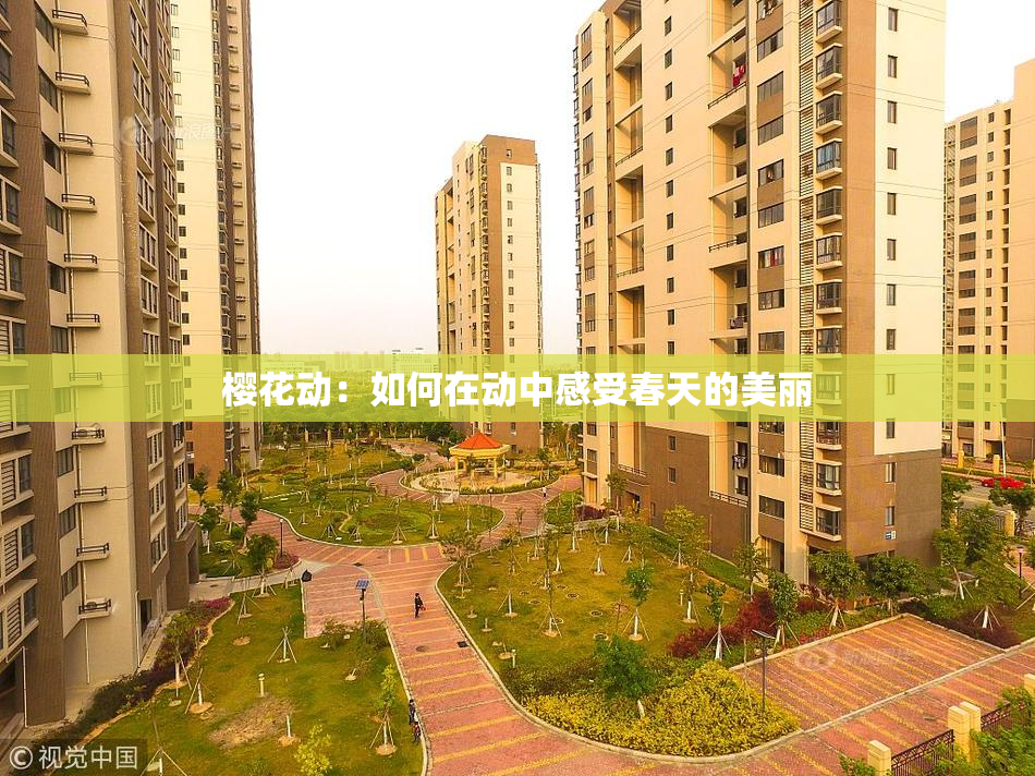 樱花动：如何在动中感受春天的美丽