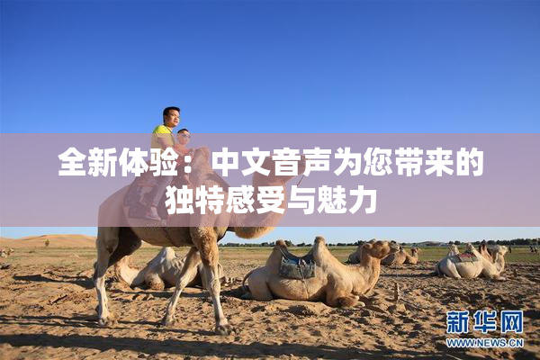 全新体验：中文音声为您带来的独特感受与魅力