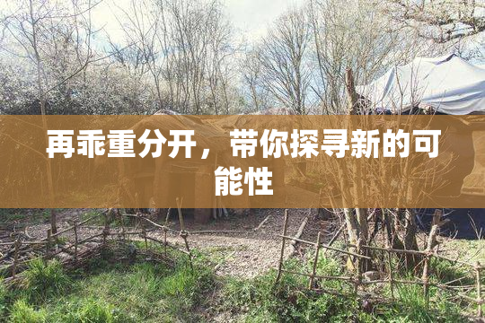 再乖重分开，带你探寻新的可能性