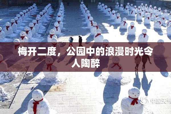 梅开二度，公园中的浪漫时光令人陶醉