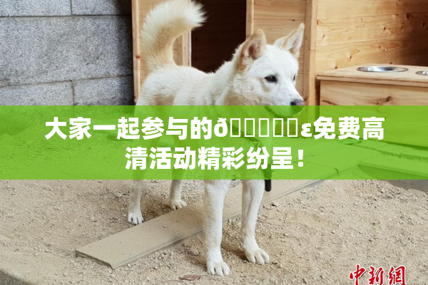 大家一起参与的🔞❌‌ε免费高清活动精彩纷呈！