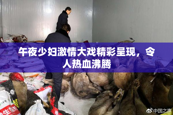午夜少妇激情大戏精彩呈现，令人热血沸腾