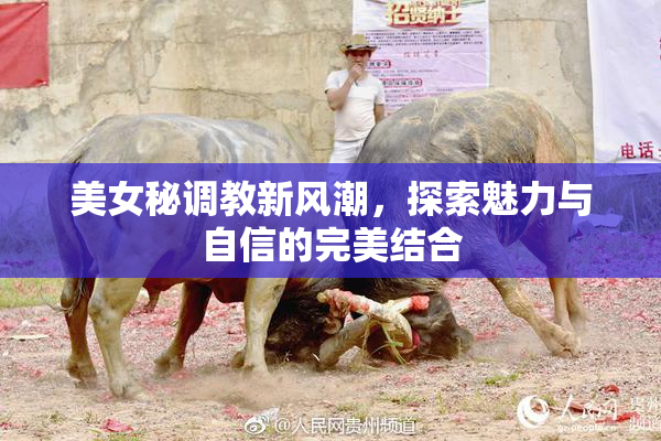美女秘调教新风潮，探索魅力与自信的完美结合