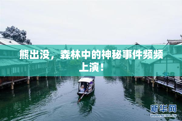 熊出没，森林中的神秘事件频频上演！