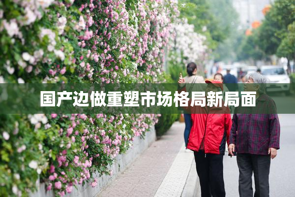 国产边做重塑市场格局新局面