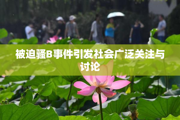 被迫骚B事件引发社会广泛关注与讨论