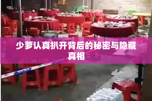 少萝认真扒开背后的秘密与隐藏真相