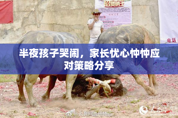 半夜孩子哭闹，家长忧心忡忡应对策略分享