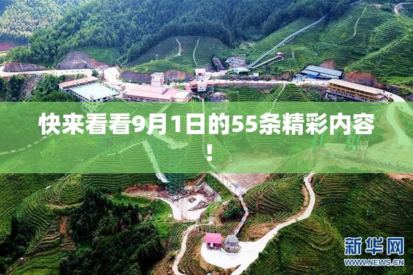 快来看看9月1日的55条精彩内容！