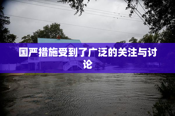 国严措施受到了广泛的关注与讨论