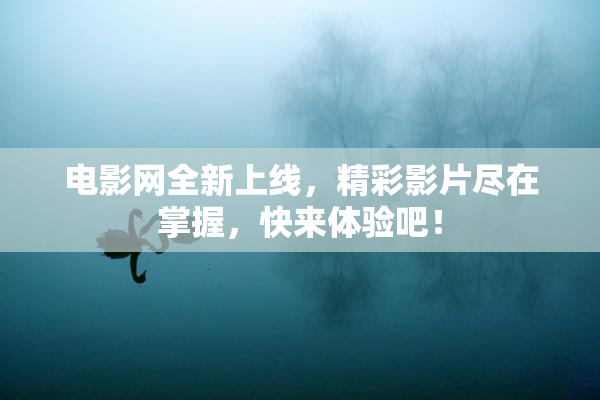 电影网全新上线，精彩影片尽在掌握，快来体验吧！