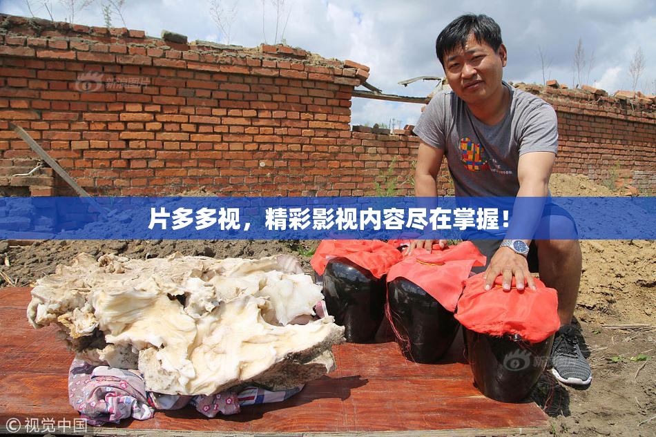 片多多视，精彩影视内容尽在掌握！