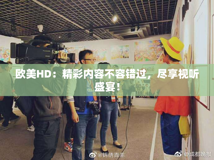 欧美HD：精彩内容不容错过，尽享视听盛宴！