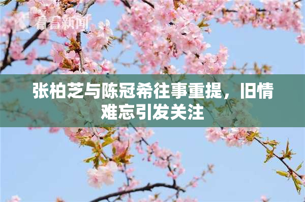 张柏芝与陈冠希往事重提，旧情难忘引发关注