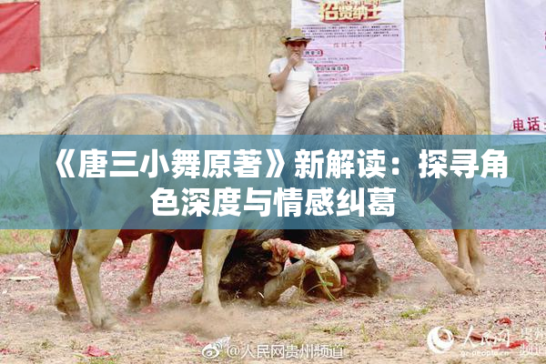 《唐三小舞原著》新解读：探寻角色深度与情感纠葛