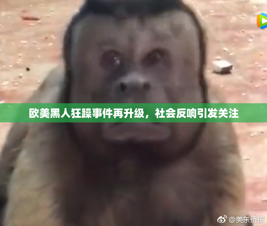 欧美黑人狂躁事件再升级，社会反响引发关注