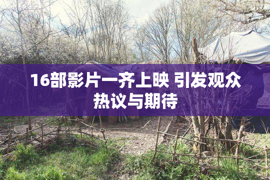 16部影片一齐上映 引发观众热议与期待