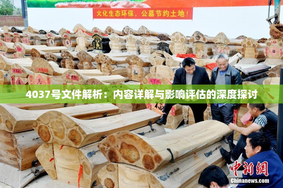 4037号文件解析：内容详解与影响评估的深度探讨