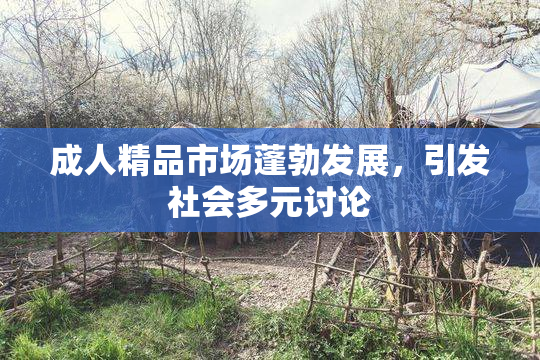 成人精品市场蓬勃发展，引发社会多元讨论