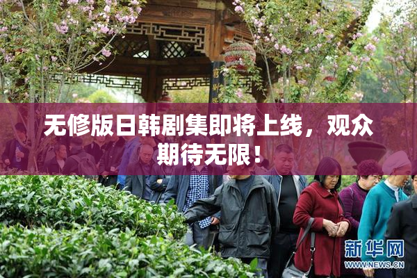 无修版日韩剧集即将上线，观众期待无限！