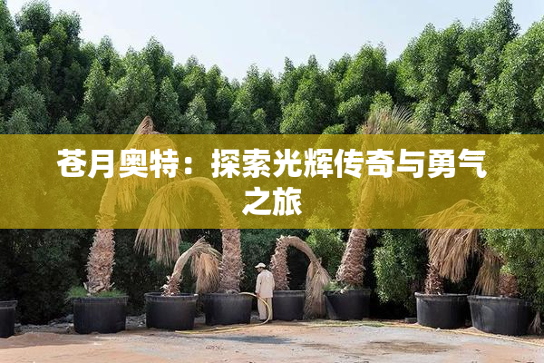 苍月奥特：探索光辉传奇与勇气之旅