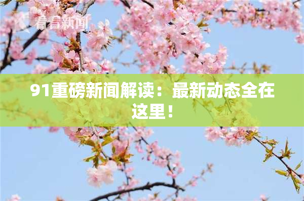91重磅新闻解读：最新动态全在这里！