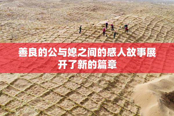善良的公与媳之间的感人故事展开了新的篇章
