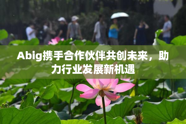 Abig携手合作伙伴共创未来，助力行业发展新机遇