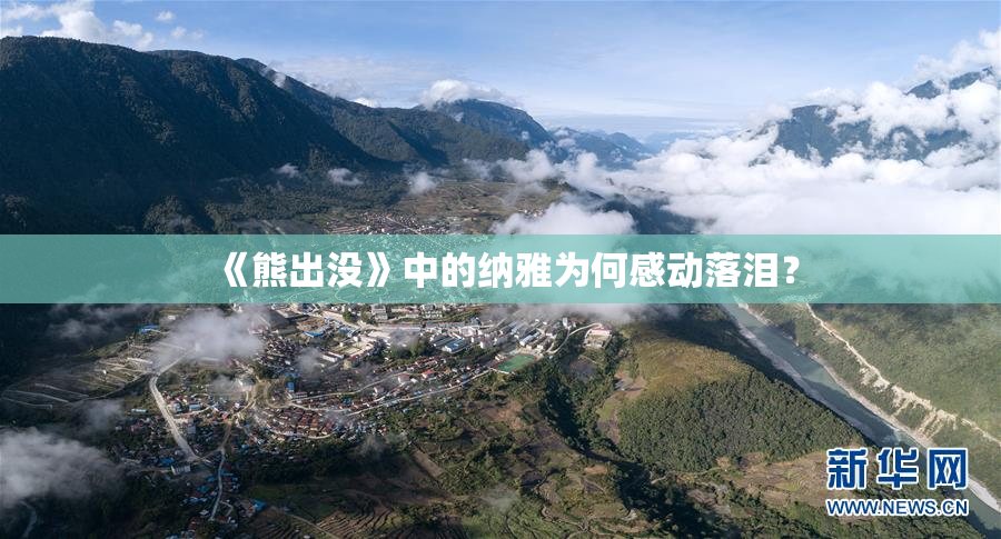 《熊出没》中的纳雅为何感动落泪？