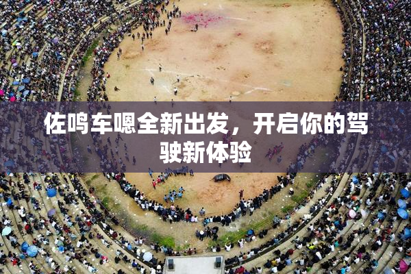 佐鸣车嗯全新出发，开启你的驾驶新体验